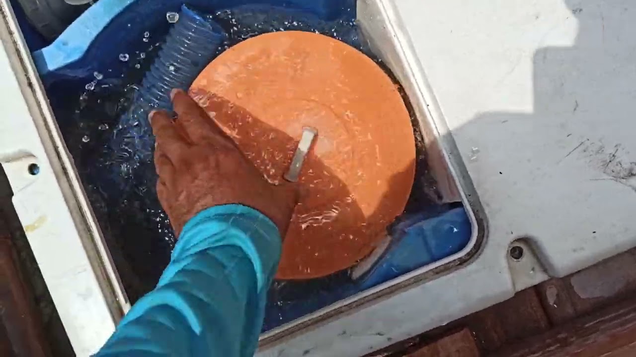 REDUZ ASPIRAÇÃO (HTH) UMA SEMANA DEPOIS - PISCINAS IGUI