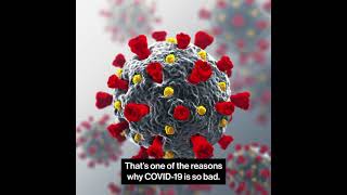 How Dr. Oudit’s research was impacted by the pandemic
