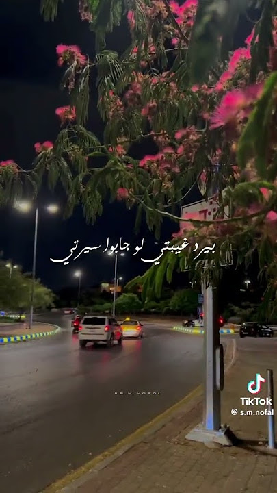 دايما في ضهري دا صاحب عمري ♥️ حالات واتساب 🎧 عمرو دياب 😍 أغاني