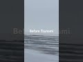 Before Tsunami