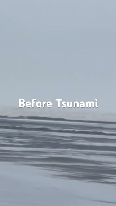 Before tsunami