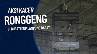 AKSI KACER RONGGENG || DI BUPATI CUP LAMPUNG BARAT BERSAMA SEKURA BIRD CLUB screenshot 5