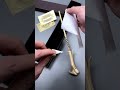 Real Wand From HogwartsЁЯШО Harrypotter Magic Wizard Real Wand From HogwartsЁЯШО Harrypotter Magic Wizard