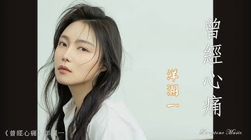 曾經心痛 Ceng jing xin tong 洋瀾一  Yang Lan Yi #動態歌詞 Pinyin/Lyrics Music