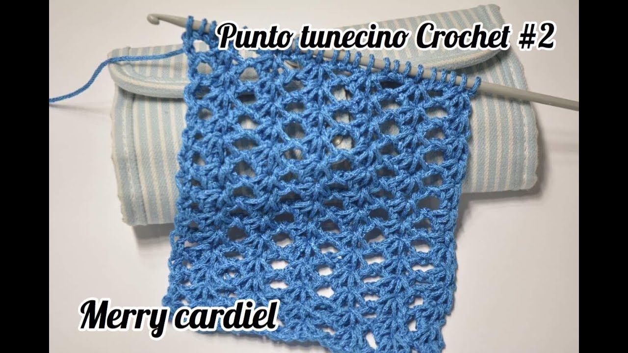 Como Tejer Punto Tunecino NUMERO 2
