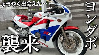 【CBR400RR】これぞ数年に一台クオリティ