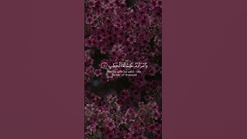 من سورة المسد بصوت الشيخ ناصر القطامي