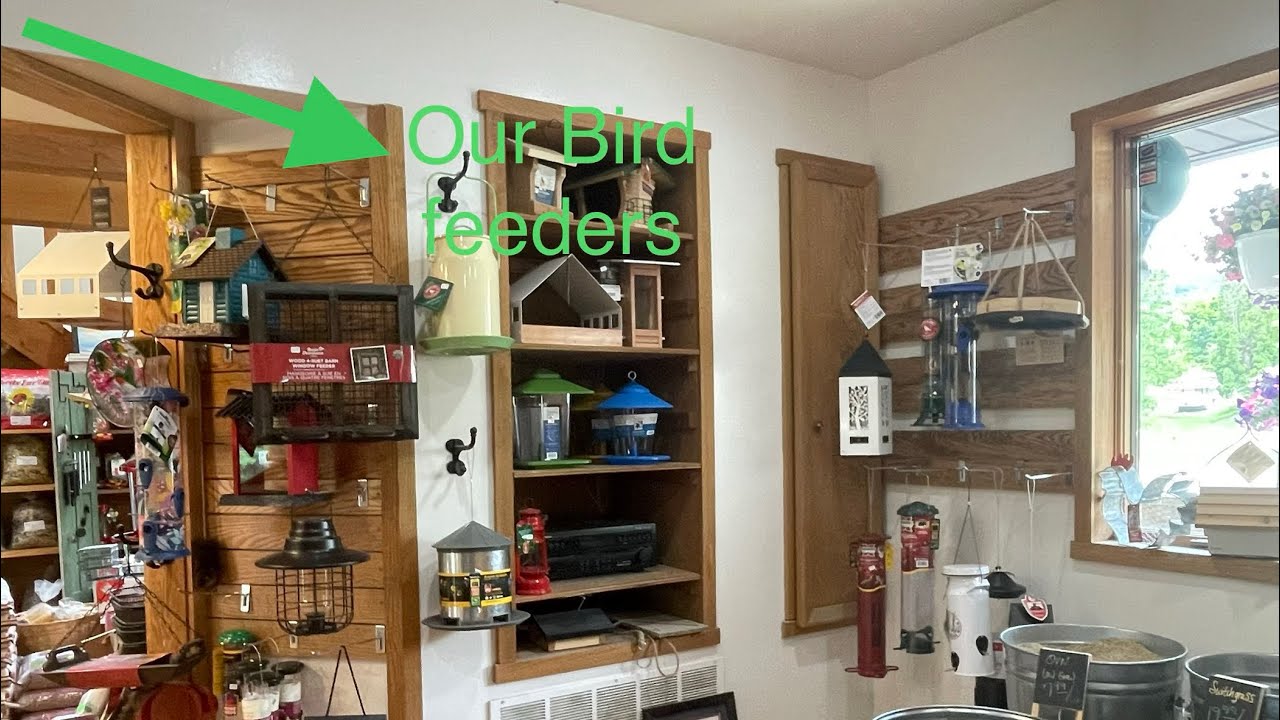 Our bird feed selection and the birds enjoying the feed