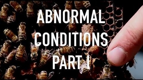 Abnormal Conditions Part I - Failed Queens and Chalk Brood