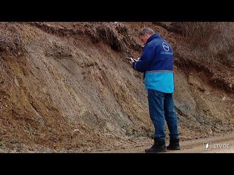 პროფესია გეოლოგი