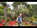 Jim gardners succulent showcase