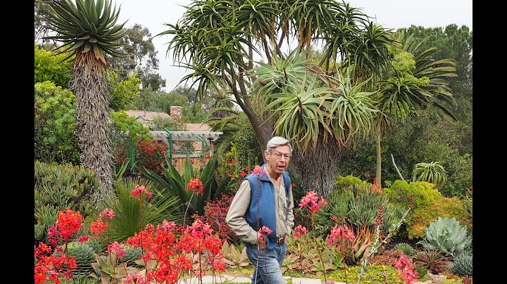 Jim Gardner's Succulent Showcase