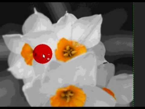 GIMP Tutorial | Black and White with One Color
