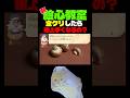 新要素色鉛筆画で舞う。day4【絵心教室DS】