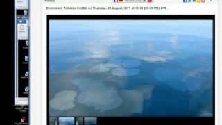 Golf Turns Black Again 92311