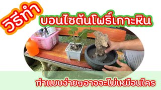 วิธีทำบอนไซต้นโพธิ์ แบบเกาะหิน ทำแบบง่ายๆ | บุญส่ง ไลฟ์สไตล์