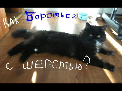 Как избавиться от шерсти кошки в квартире/Как бороться с линькой