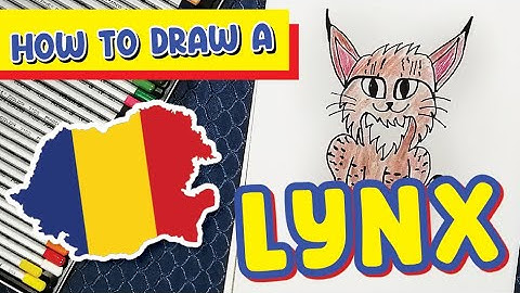 How to draw a Lynx - easy drawing tutorial for kids and beginners!
