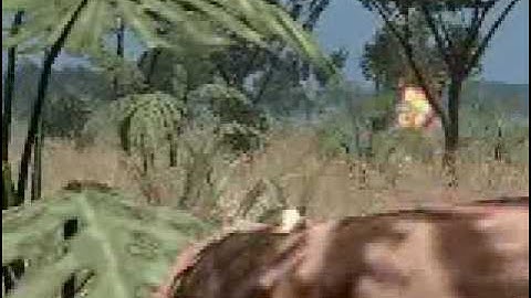 Far Cry 2 Map Editor Fly Through Part 2