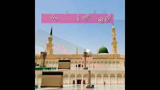 ربیع الاول|سرکار کی آمد| Rabi ul Awwal| #rabiulawal #jashneamaderasool #islamicvideo #shortsfeed