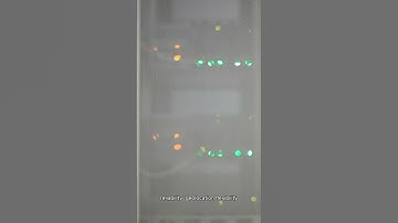 Using IPRockets Residential Proxy for Travel Fare Aggregation in the Airline Industry