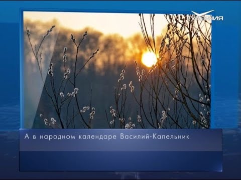 Василий-Капельник. Календарь губернии от 13 марта