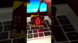 Proyectos básicos para primaria en microbit