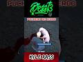 Kyle se carga un cerdo y Willy teme por su vida #desst3 #deqiuv #elisawaves #onx #roleplay #gta