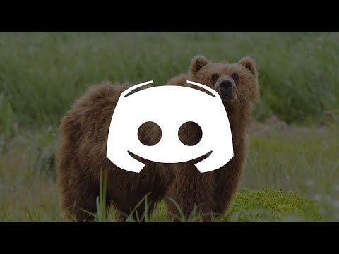 DiscPosting - Bear Hunting