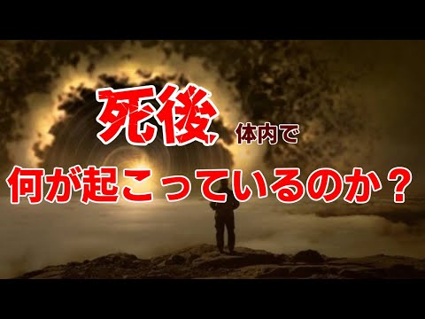 死後硬直の話【ゆっくり解説】