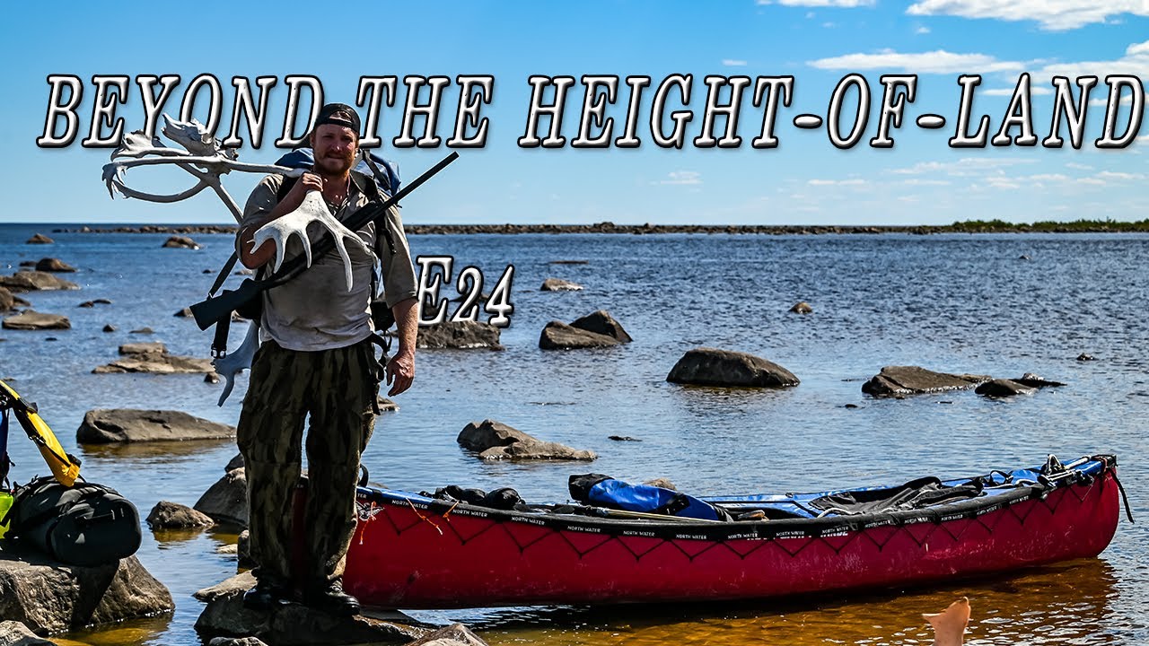 Beyond the Height-of-Land E.24 - BELUGA WHALES & Polar Bears | 25 Days in the Northern Manitoba Wild