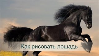 Как рисовать лошадь. Игорь Сахаров рассказывает как рисовать лошадь Как рисовать лошадь. Игорь Сахаров рассказывает как рисовать лошадь