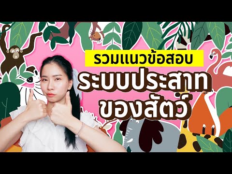 รวมแนวข้อสอบ ระบบประสาทของสัตว์ : ชีวะครูฝ้าย