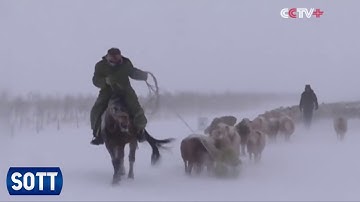 Tóm tắt Biến đổi Trái Đất của SOTT - 11/2016: Thời tiết Cực đoan, Cầu lửa từ Thiên thạch