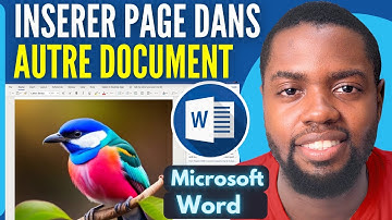 Comment Insérer Une Page Word Dans Un Autre Document Word (Très Facile)