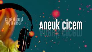 Aneuk Cicem