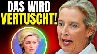 Alice Weidel packt aus – unglaubliches NATO-Detail