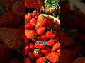Turning Fresh Strawberries Into Sweet Candy & Jam 🍓 #strawberry #driedfruits #jam #harvest