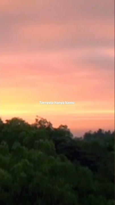 TERNYATA HANYA KAMU (BRISIA JODIE ft STEVAN PASARIBU) - LIRIK (STORY WA) #shorts