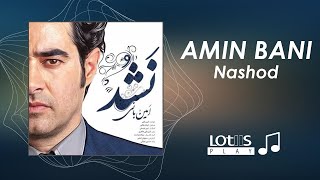 Amin Bani - Nashod | امین بانی - نشد Resimi