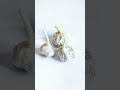 Easy and safe Garlic peeler