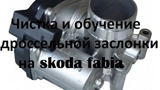 Чистка и обучение дроссельной заслонки на Skoda Fabia(, 2015-09-03T19:00:01.000Z)