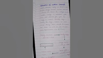 sodium potassium pump