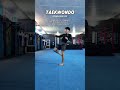 KICKBOXING vs TAEKWONDO KICKS