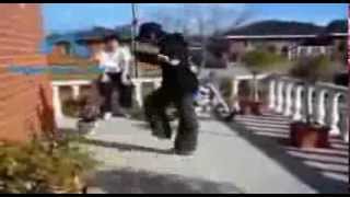 HSK/David