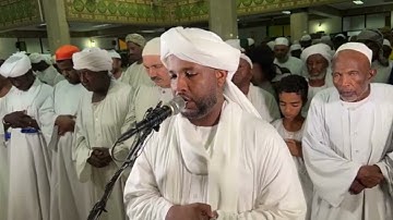شيخ الزين محمد احمد - سورة الفجر