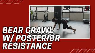 Bear Crawl with Posterior Resistance | Cable Machine Exercise