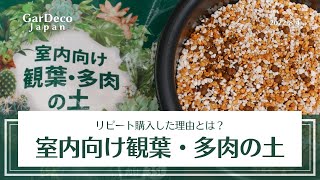 室内向け観葉・多肉の土をリピート購入した理由とは？