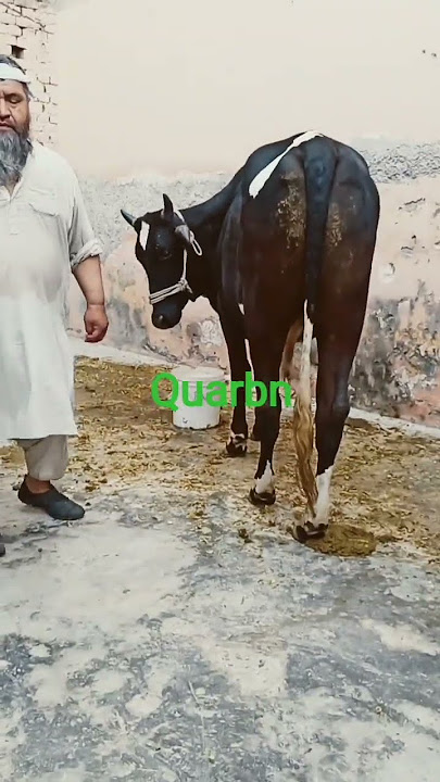 ea #bollywood #balaghal #music #unfrezzmyaccount #lifeisbutadream #june2019 #account de md