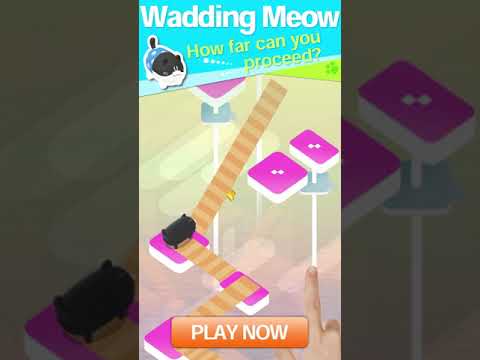 Wadding Meow 1